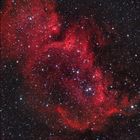 IC1848 im Sternbild Cassiopeia