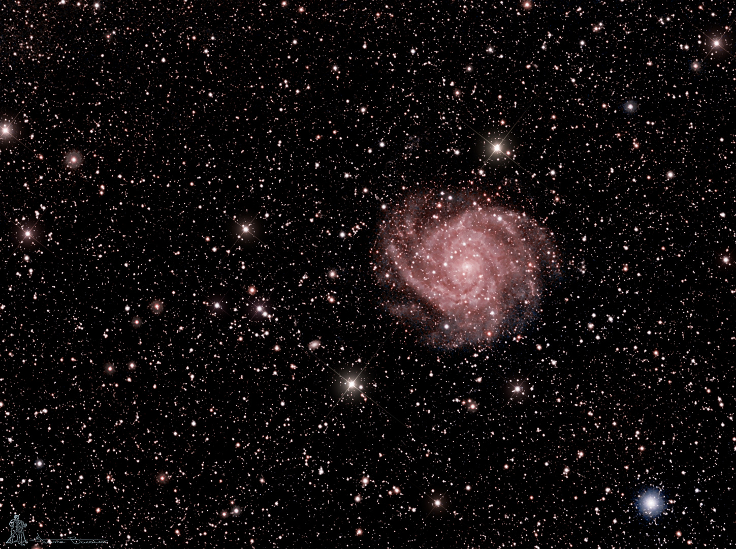 IC342 La galaxia oculta