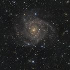 IC342 Spiralgalaxie im Sternbild Giraffe