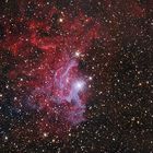 IC405 - Flaming Star Nebel