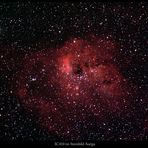 IC410 Emissionsnebel am Winterhimmel