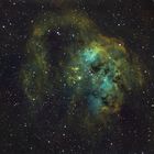 IC410 Kaulquappen und NGC 1893 