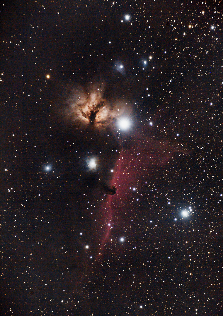 IC434-Pferdekopf