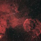 IC443 -der Quallennebel-