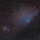 IC4592 - blue horse nebula