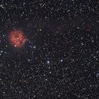 IC5146 - Coconnebel