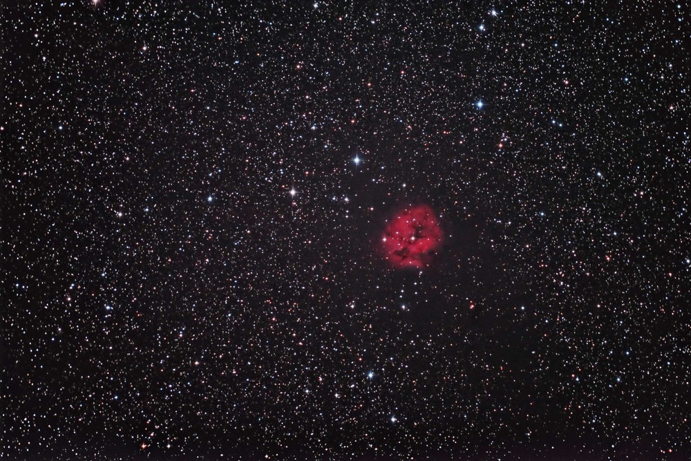 IC5146, der Cocoon Nebula