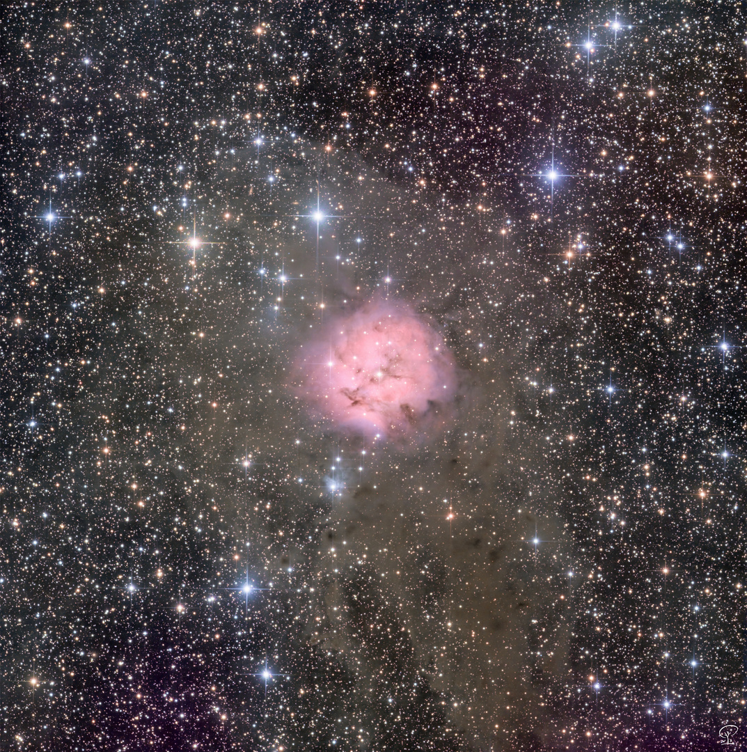 IC5146, der Kokon-Nebel am Rande des Cygnus