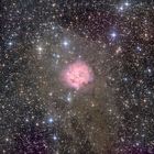 IC5146, der Kokon-Nebel am Rande des Cygnus