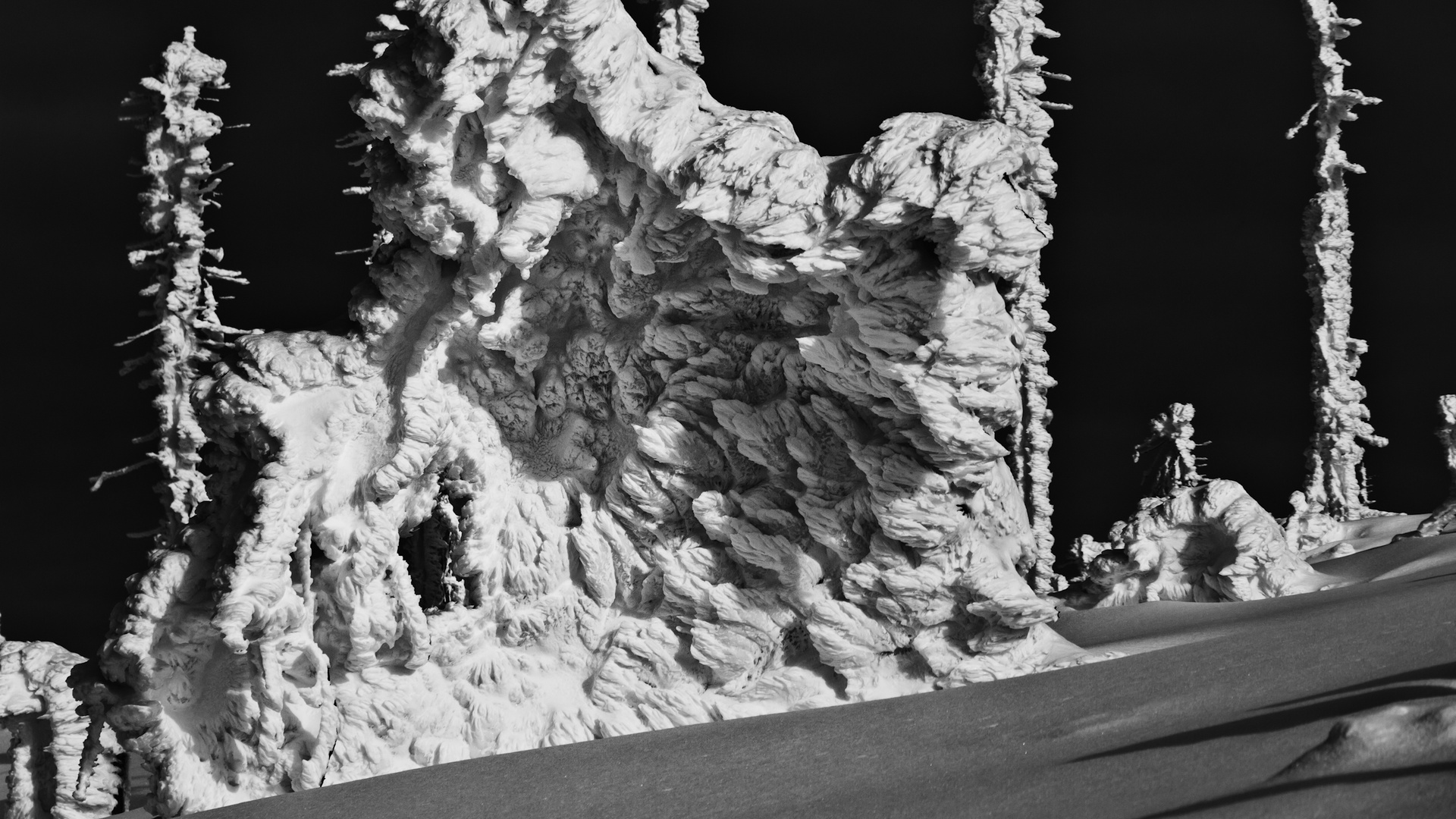 ice-age-3-foto-bild-jahreszeiten-winter-deutschland-bilder-auf-fotocommunity