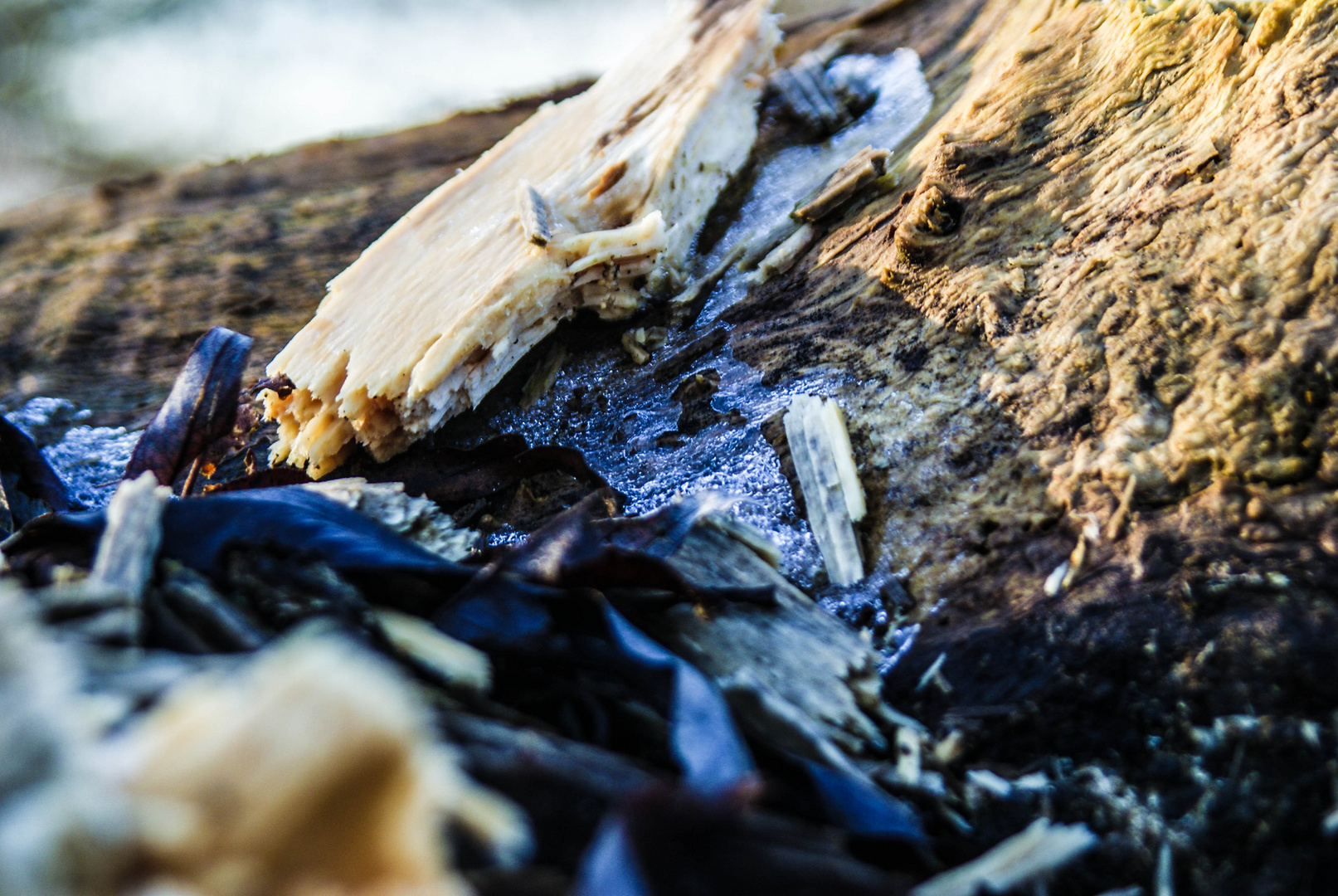 Ice and Wood