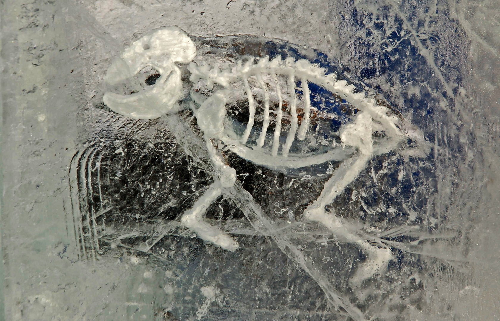 Ice art 4