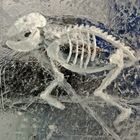 Ice art 4