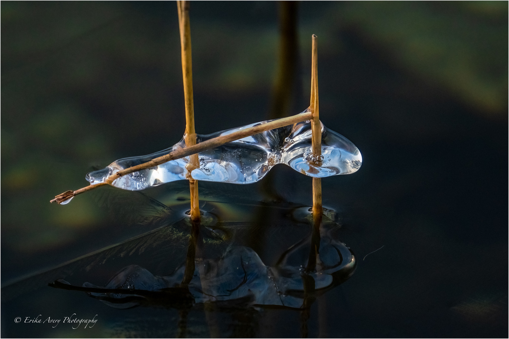 Ice Art