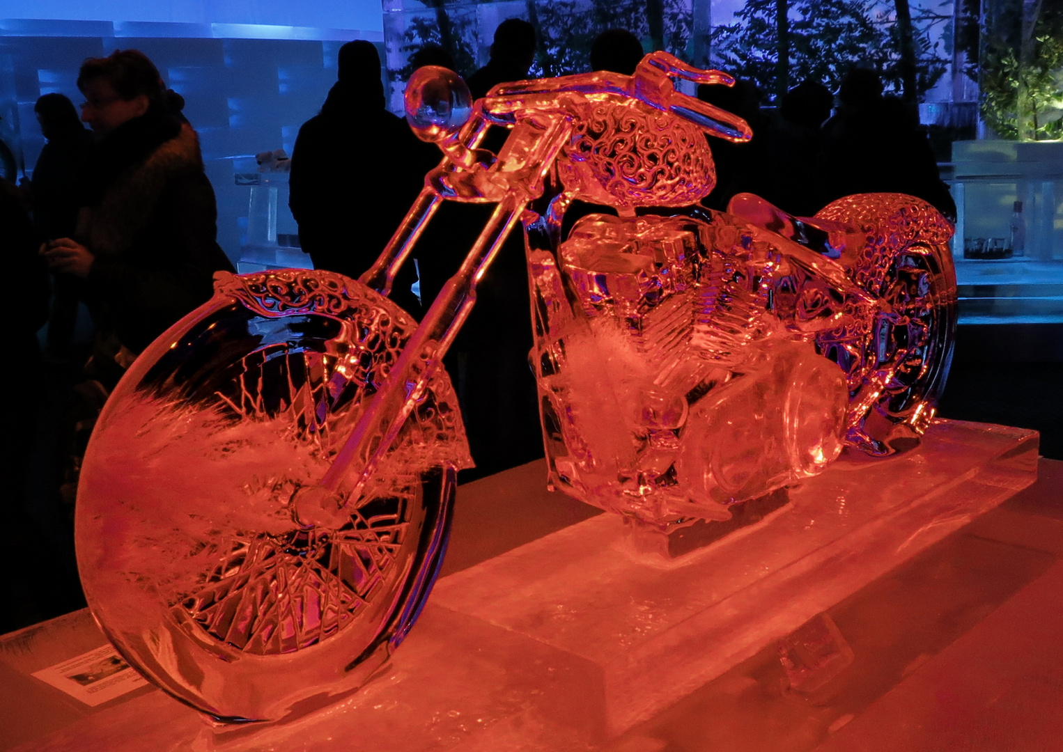 Ice-Bike