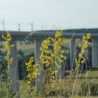 ICE Brücke bei Schalkau