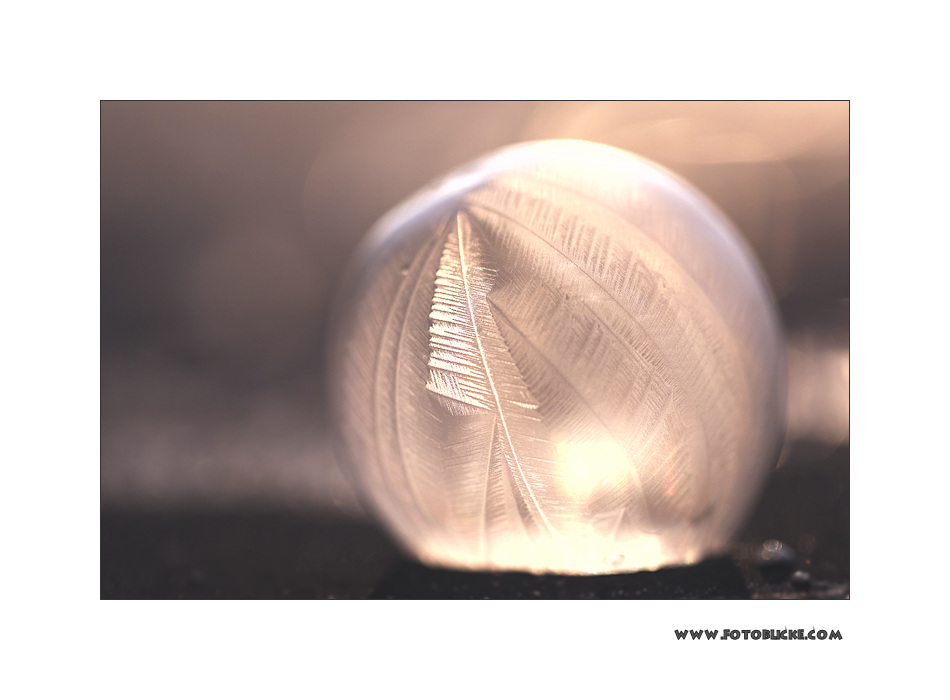 Ice Bubble #4