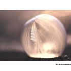 Ice Bubble #4