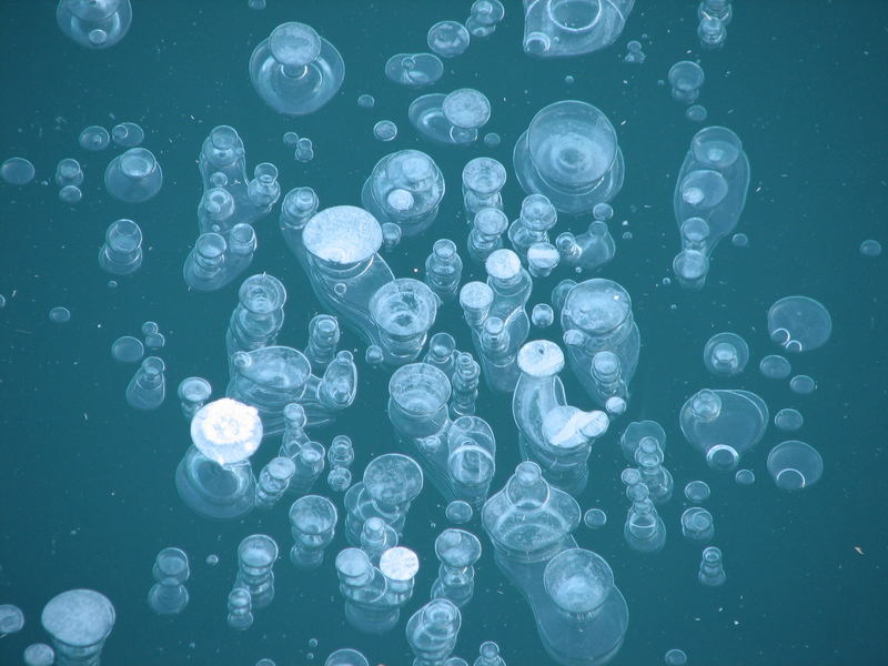 Ice-Bubbles von SON-ja