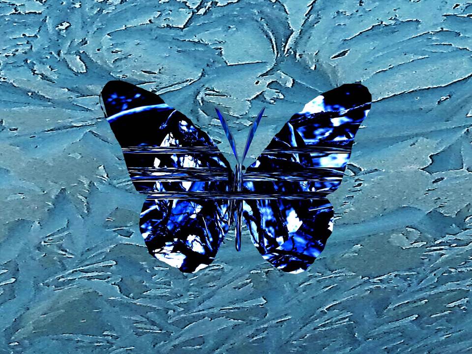 Ice Butterfly