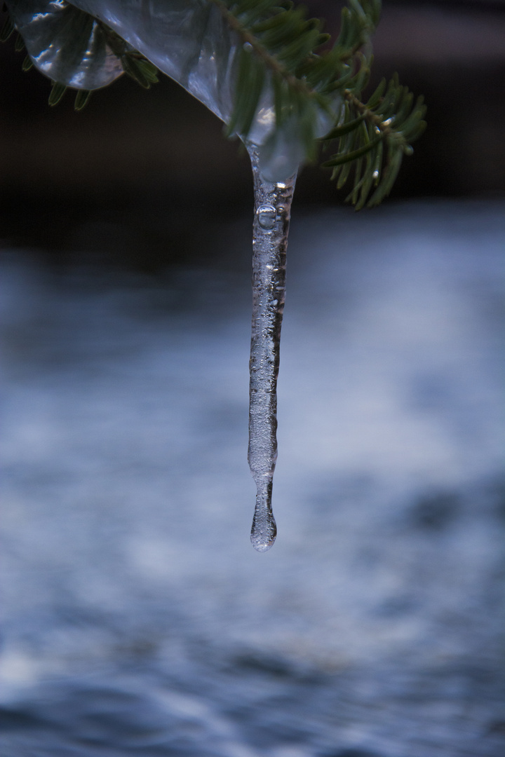 Ice candle