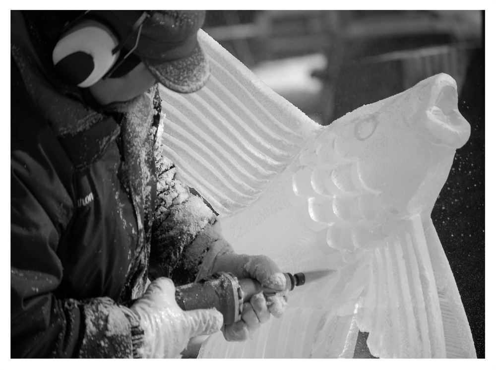 Ice Carving Series 3 Details