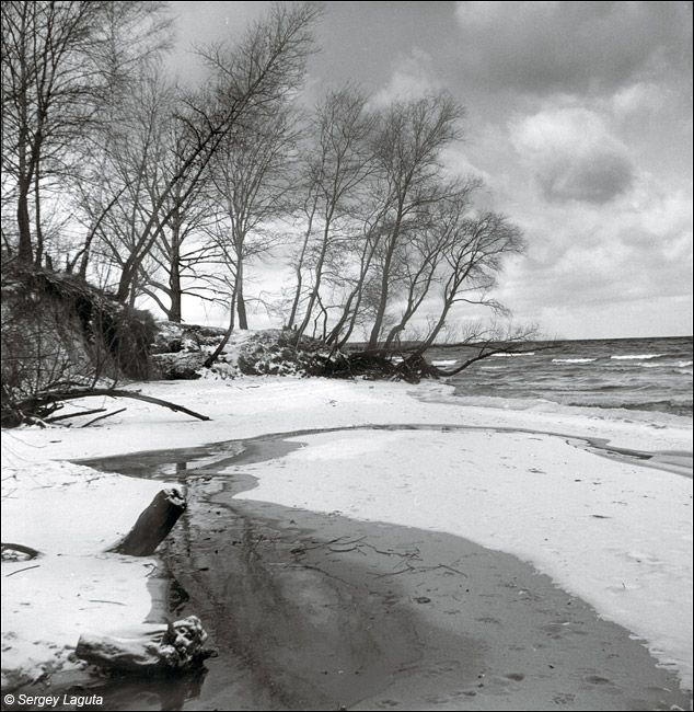Ice-coated shore