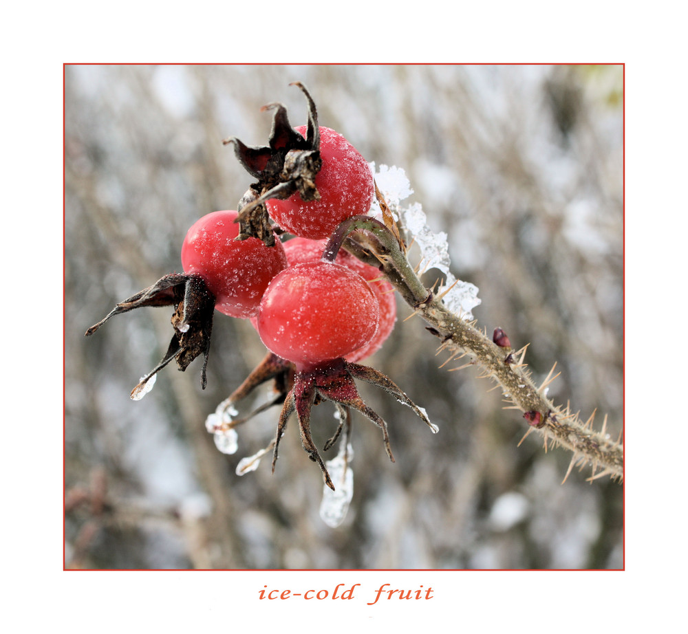 ice-cold fruit