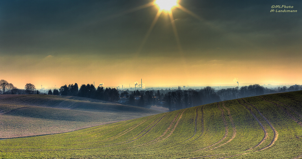 Ice cold over the fields