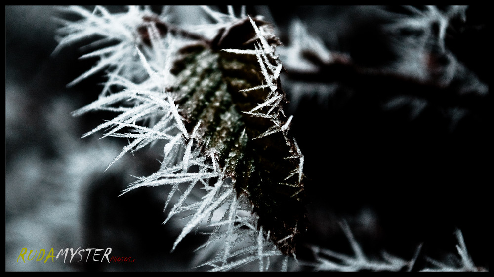 Ice Crystal