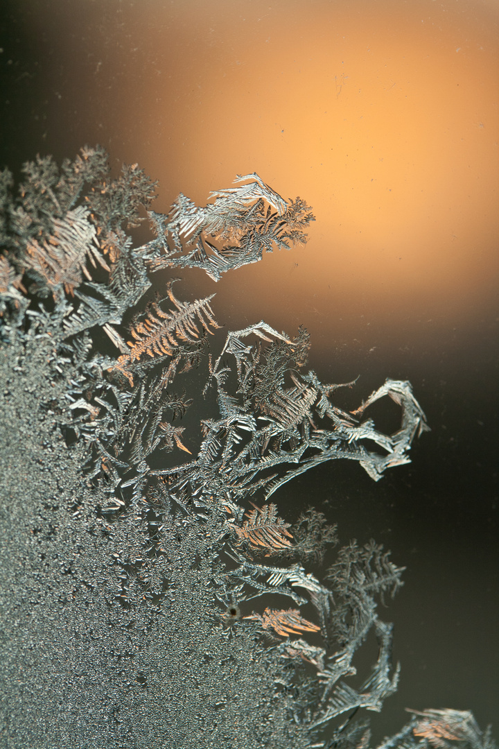 Ice Crystal