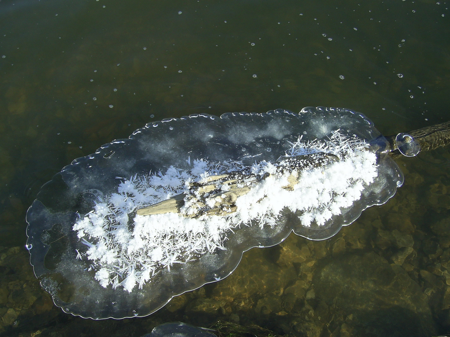 ice- crystal- island