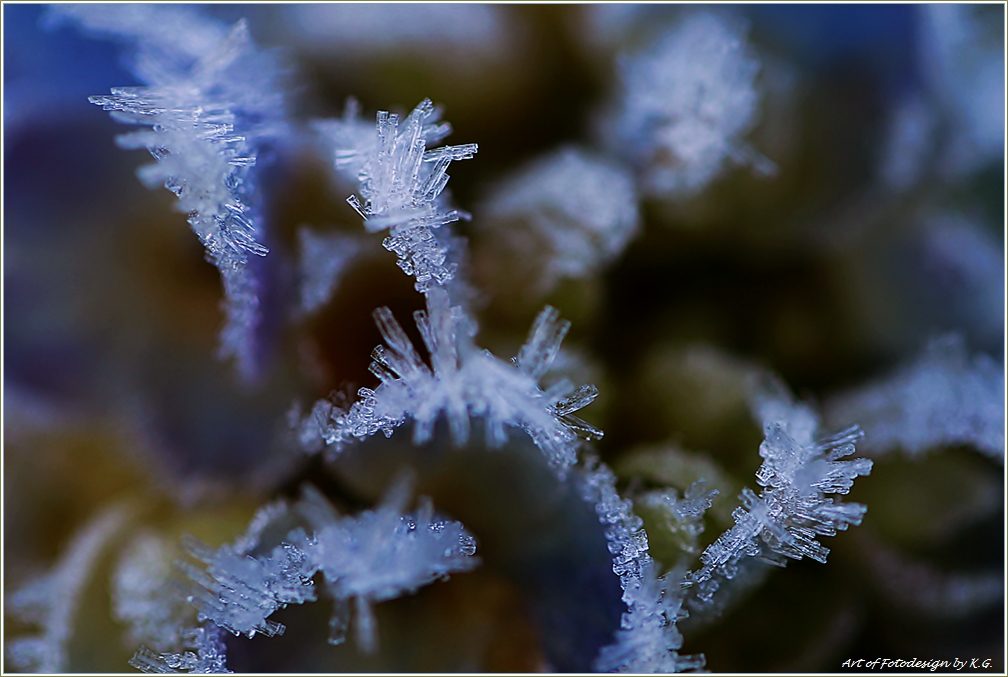 ice crystals