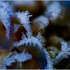 ice crystals