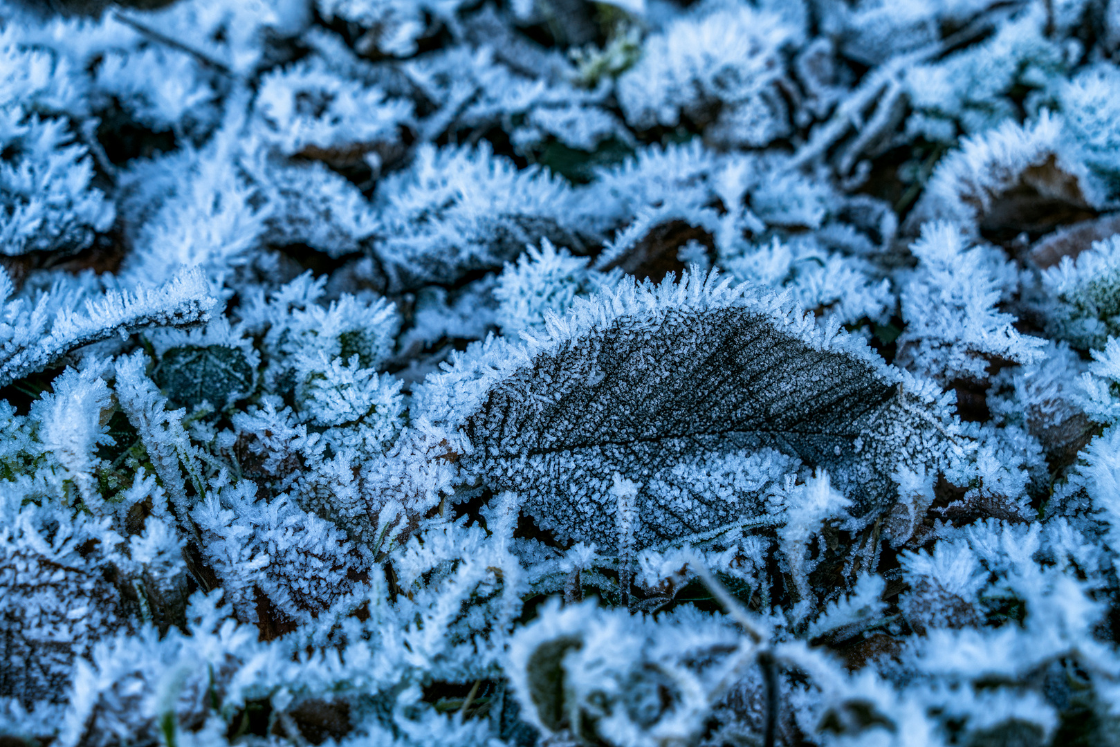 Ice crystals