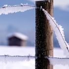 Ice Crystals