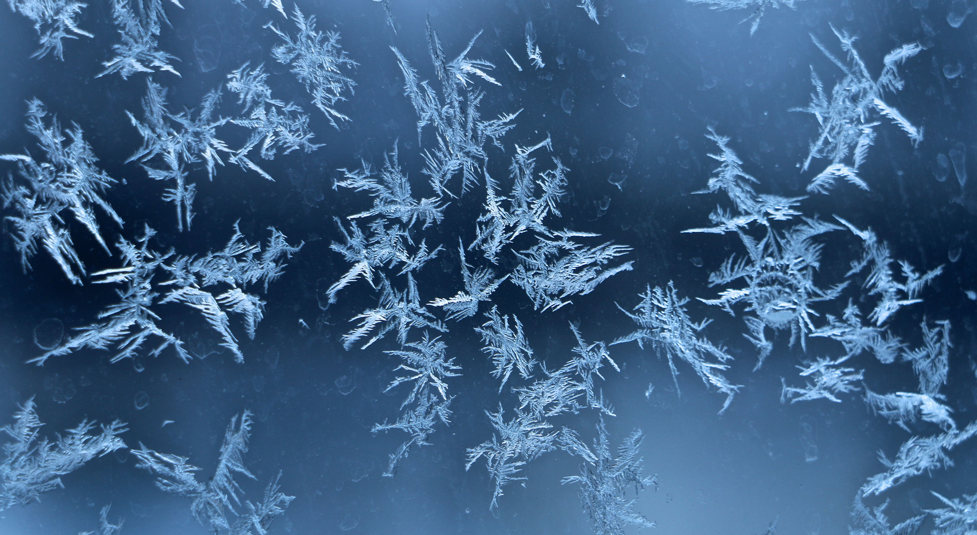 Ice Crystals' Morning Talk