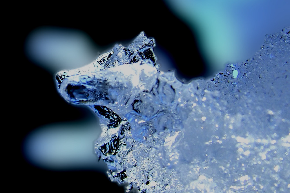 Ice dog