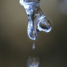 ICE DROP