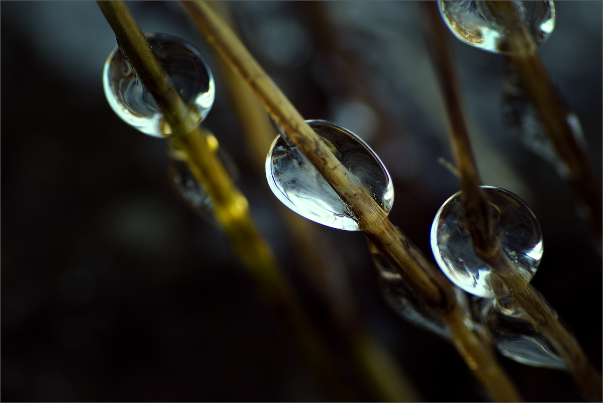 ice drops