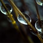 ice drops