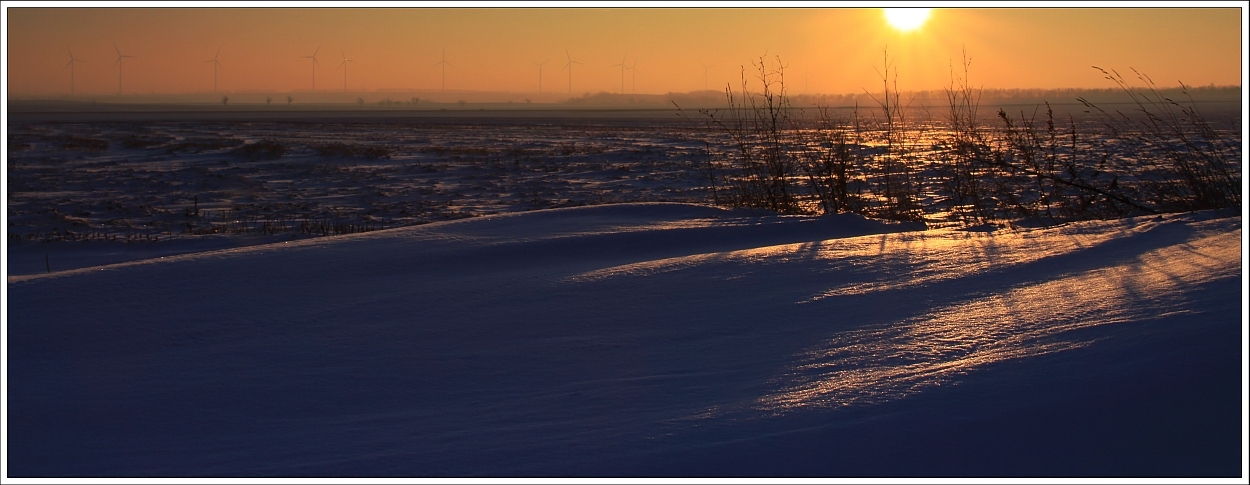 ~ | Ice Dune