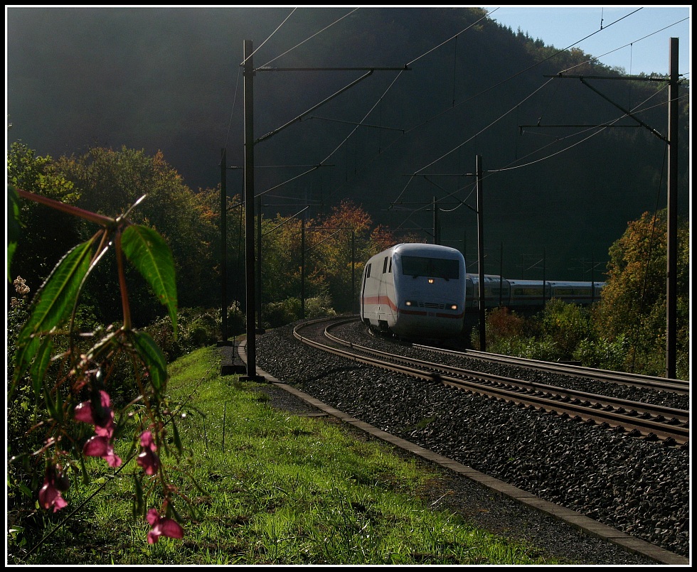 ICE durchs herbstliche Gegenlicht