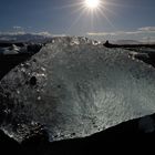 Ice-Fisch im Gletschersee Jökulsarlon