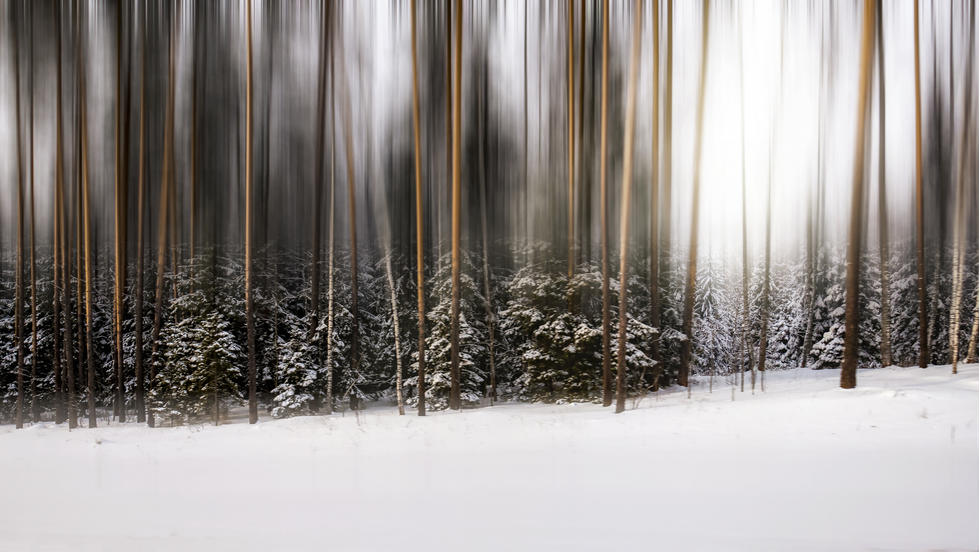 Ice Forest Yaroslavl