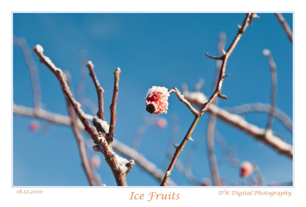 Ice Fruits