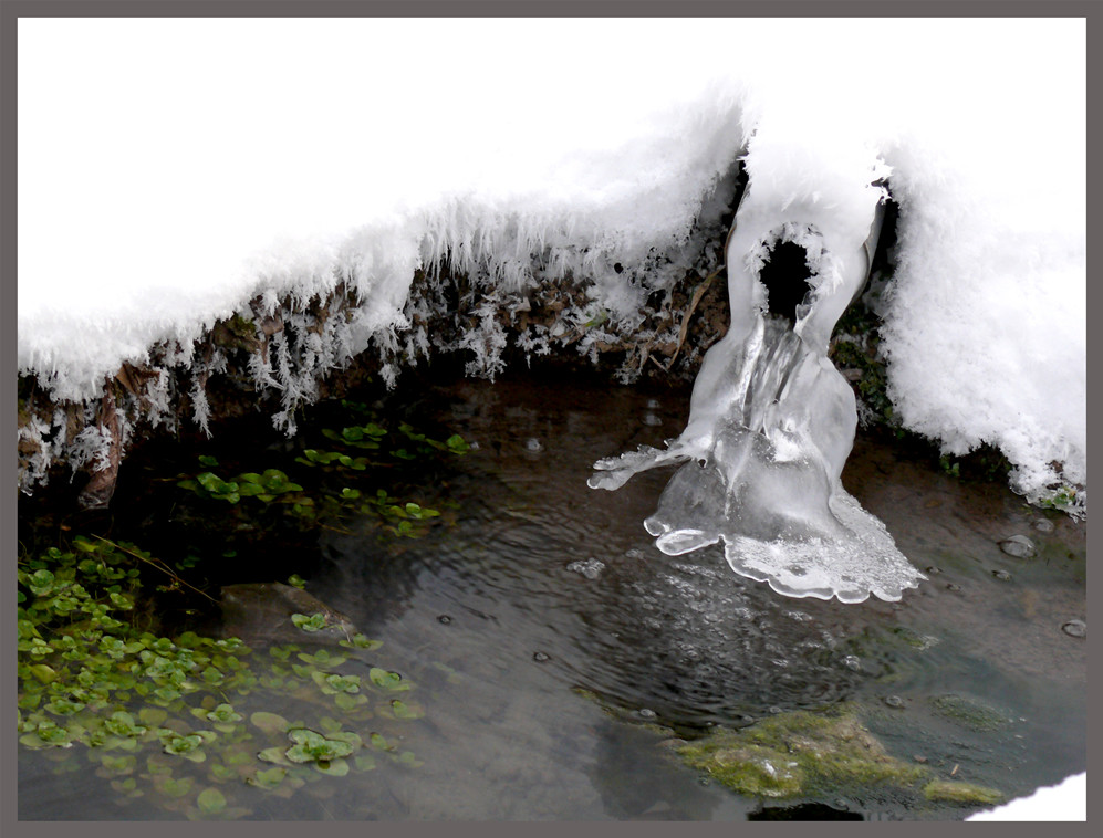 ICE GHOST (made by nature)