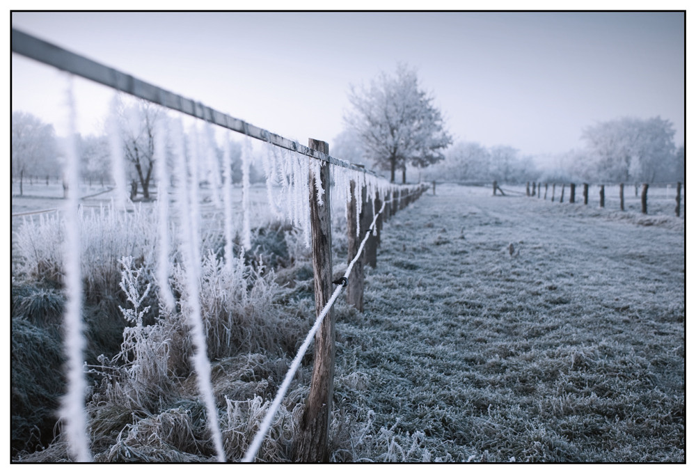 Ice-Grassland