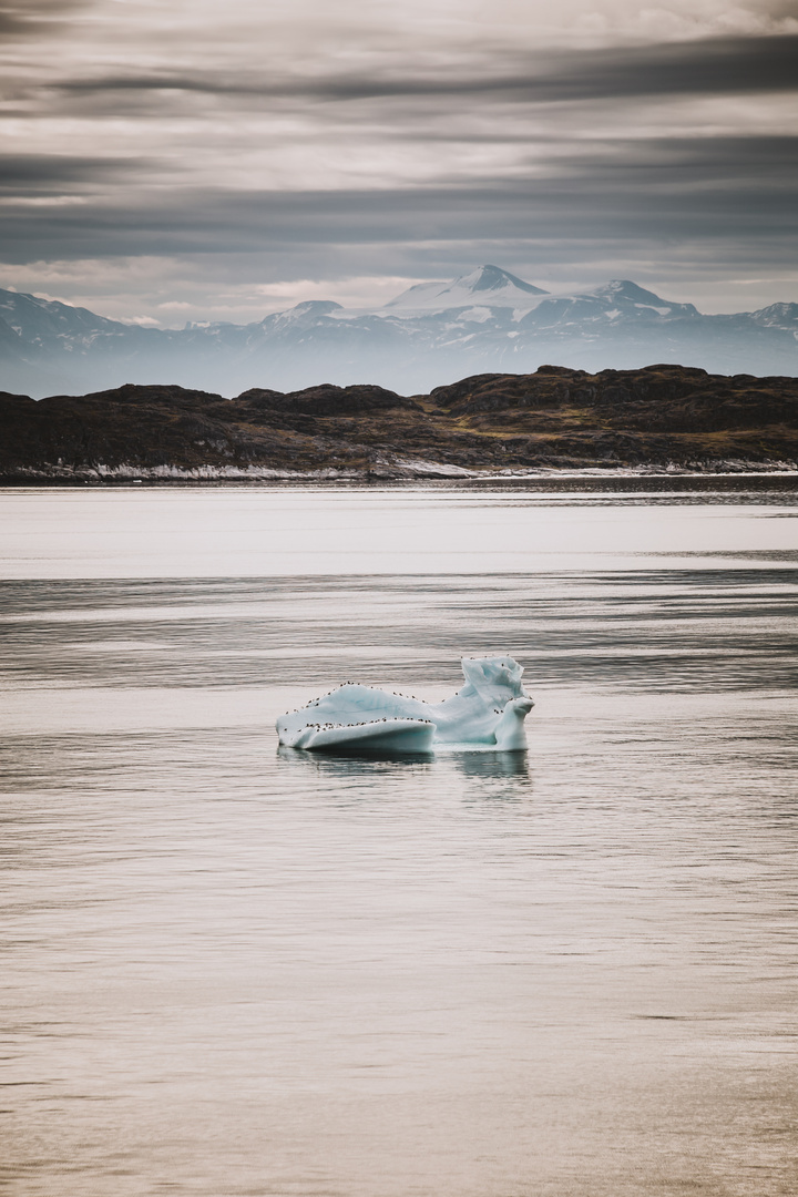 Ice Greenland Godthabfjord-33