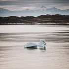 Ice Greenland Godthabfjord-33